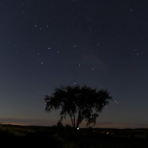 Meet your Posher, Zach